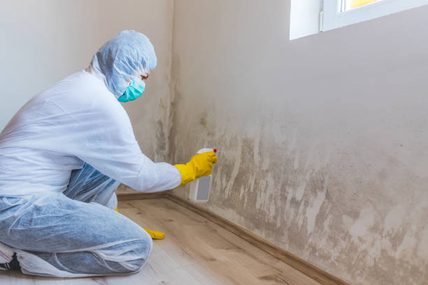 Hvac And Air Duct Mold Remediation inspection of HVAC system in Youngsville